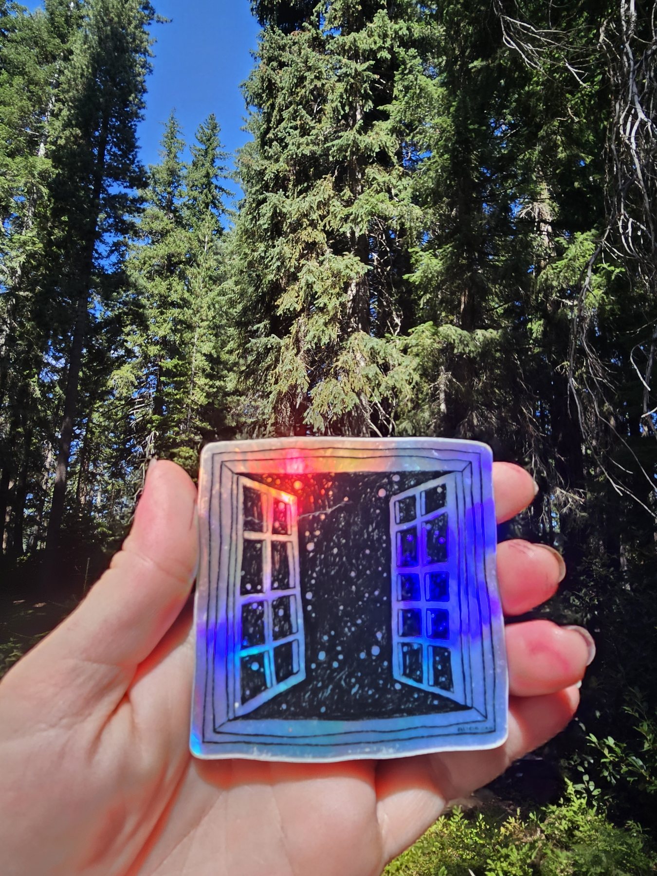 Holographic sticker of an open window revealing a starry night sky, held up against tall pine trees in daylight